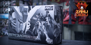 Premium Bandai 1/144 RG Destiny Gundam Deactive Mode