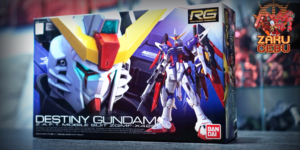Bandai 1/144 RG Destiny Gundam #11