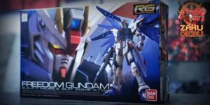 Bandai 1/144 RG Freedom Gundam #05