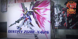 Dragon Momoko 1/100 MG Destiny ZGMF-X42S