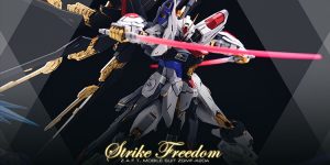 PRE ORDER: Fortune Meow’s Studio 1/100 MG Strike Freedom Gundam Resin Conversion Kit (Original Cast)