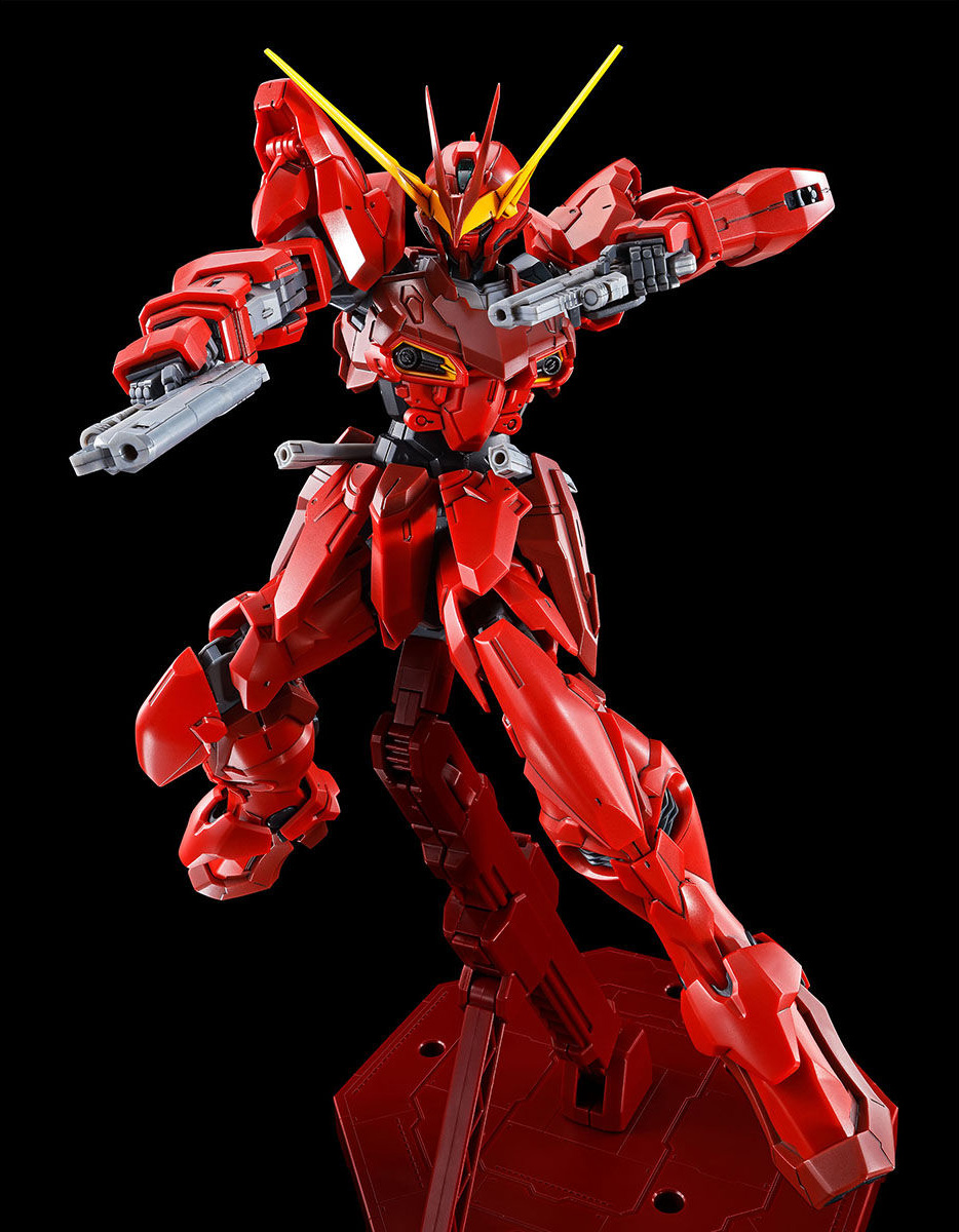 Premium Bandai 1/100 MG ZGMFX12A Testament Gundam Zaku Cebu Cebu's